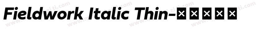 Fieldwork Italic Thin字体转换